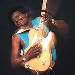 albert collins